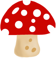 Mushroom Fungi