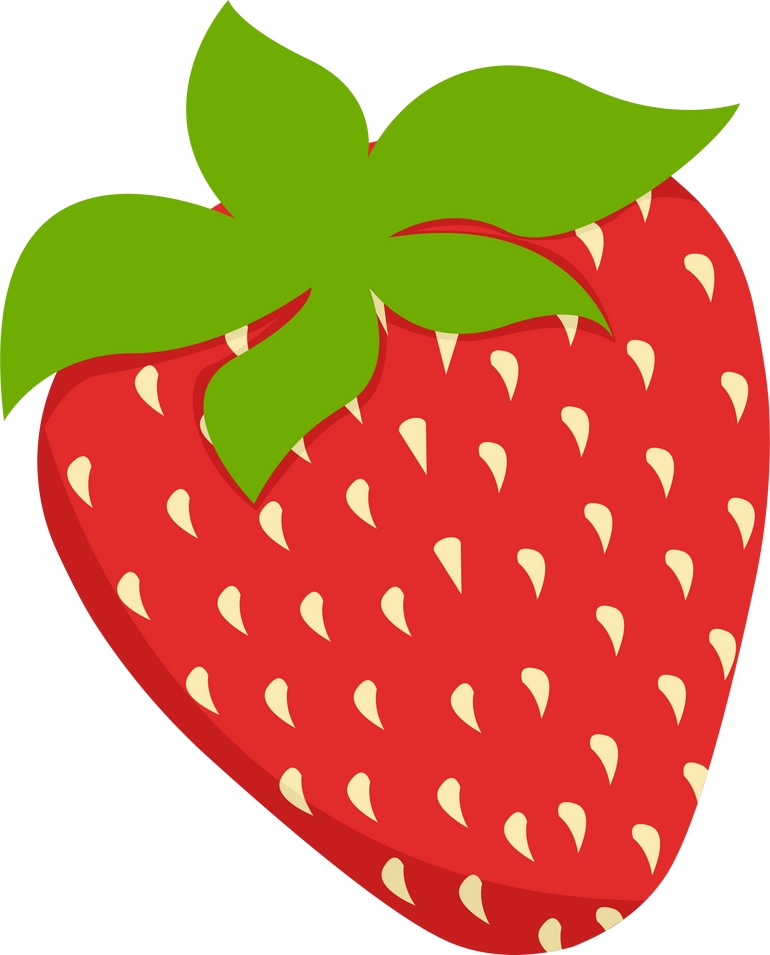 Strawberry  Fruit Illustration